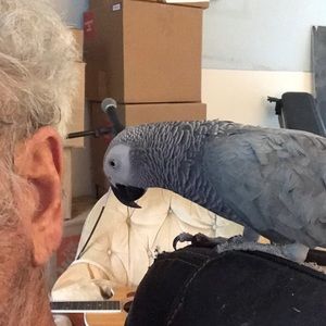 Meet your Posher, Daniel